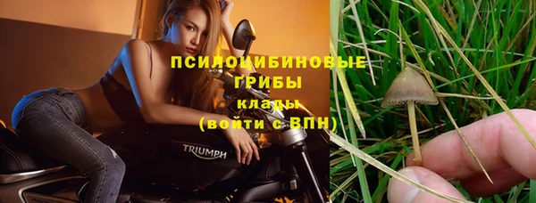 не бодяженный Магадан