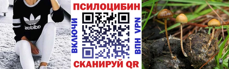 Галлюциногенные грибы мухоморы  Чебаркуль 